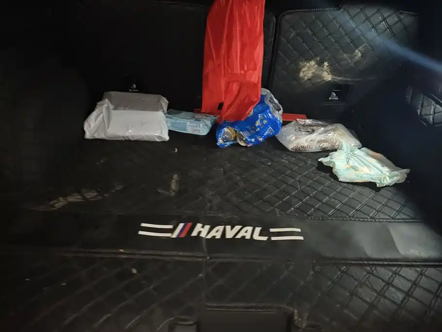 Haval Big Dog — миниатюра 4