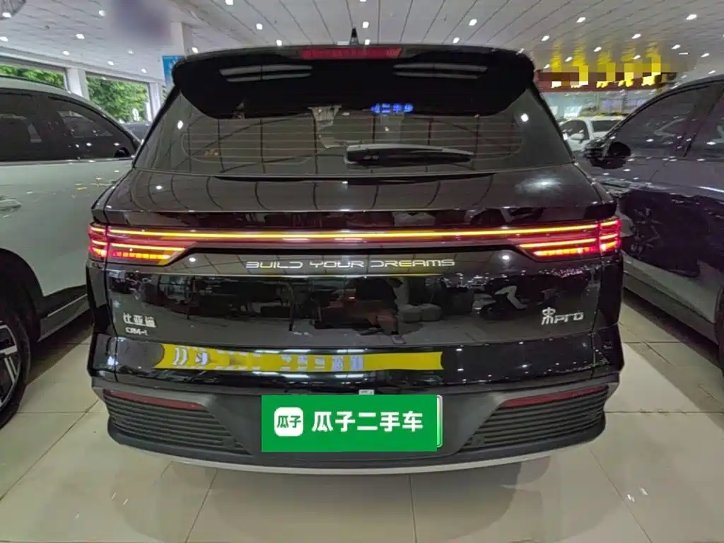 BYD Pro New Energy — миниатюра 6