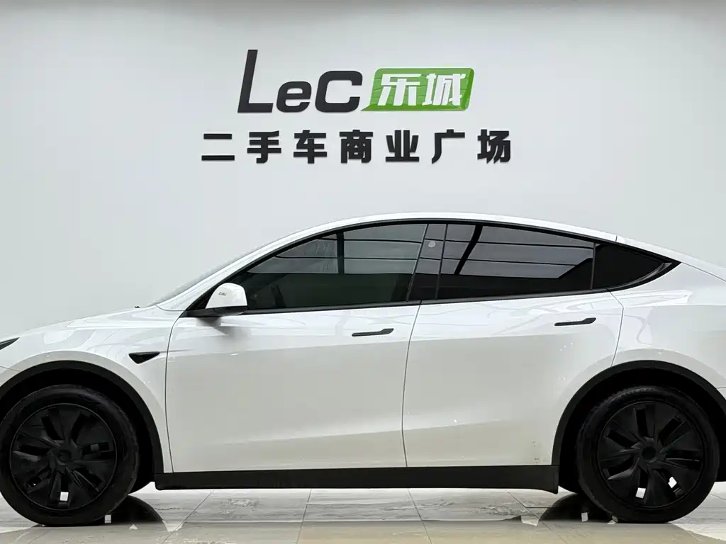Tesla Model Y — миниатюра 16