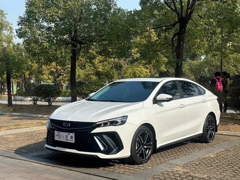 GEELY AUTOMOBILE BINRUI