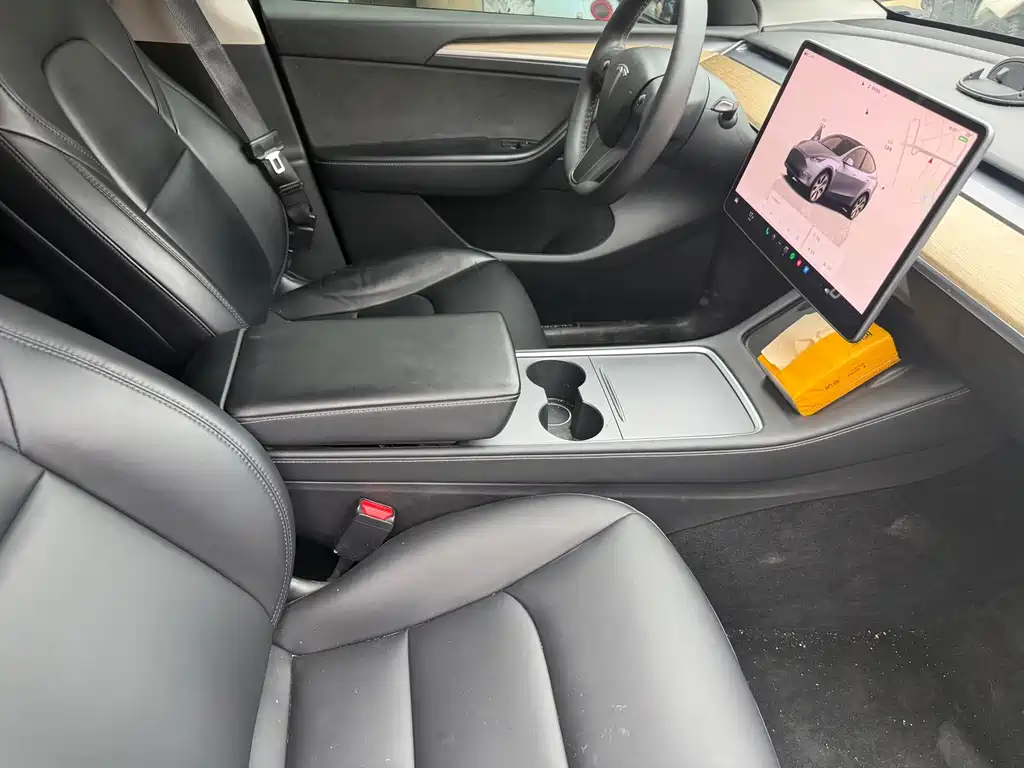 Tesla Model Y — миниатюра 5