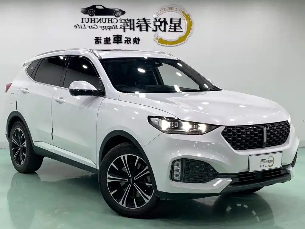 Wey Wey VV6 — миниатюра 3