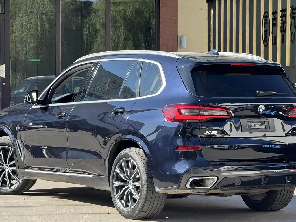 BMW X5 2023 xDrive 30Li Premium M Sport