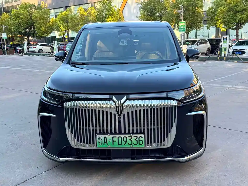 VOYAH Dreamer — миниатюра 2