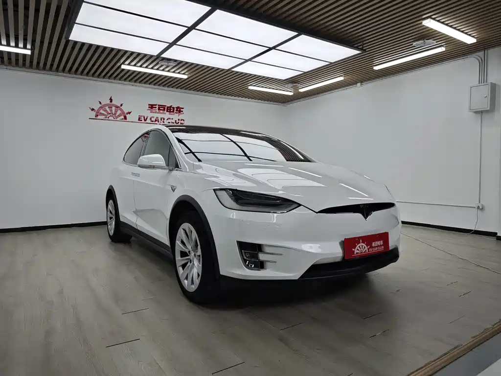 Tesla Model X — миниатюра 3