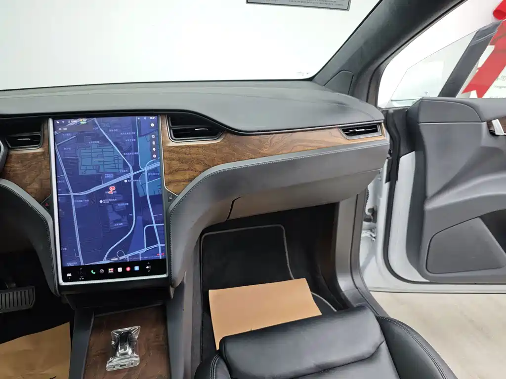 Tesla Model X — миниатюра 29