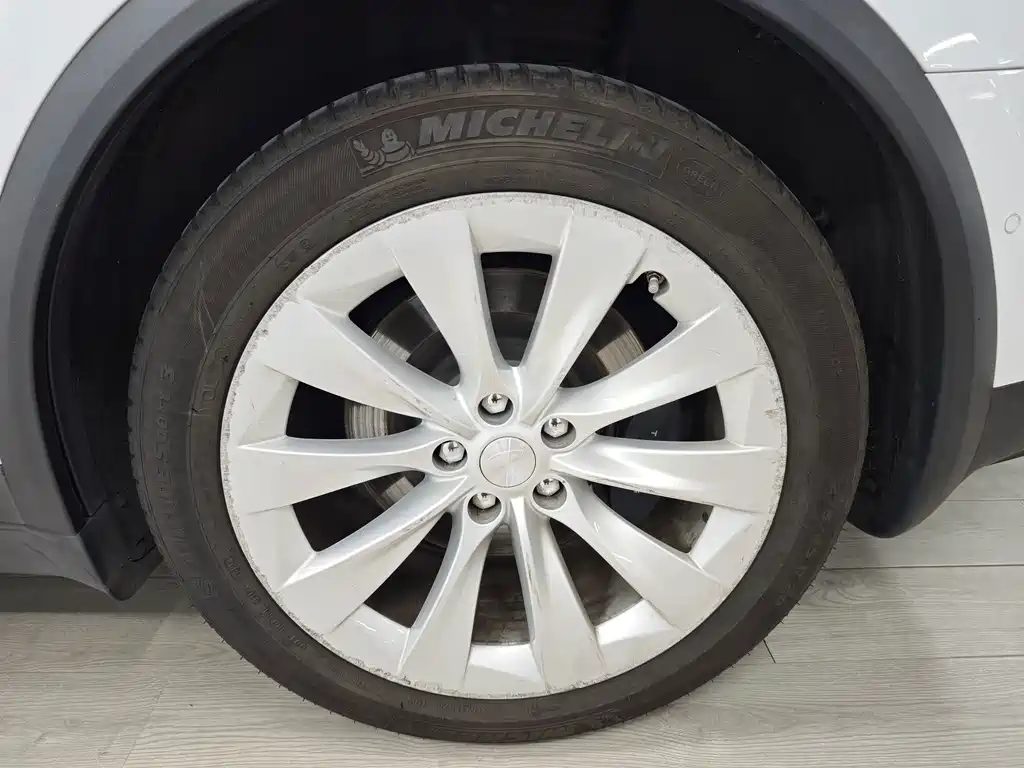 Tesla Model X — миниатюра 51