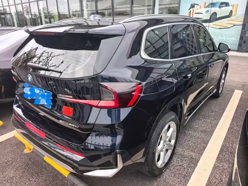 BMW X1 sDrive20Li X Design Package, фото 3