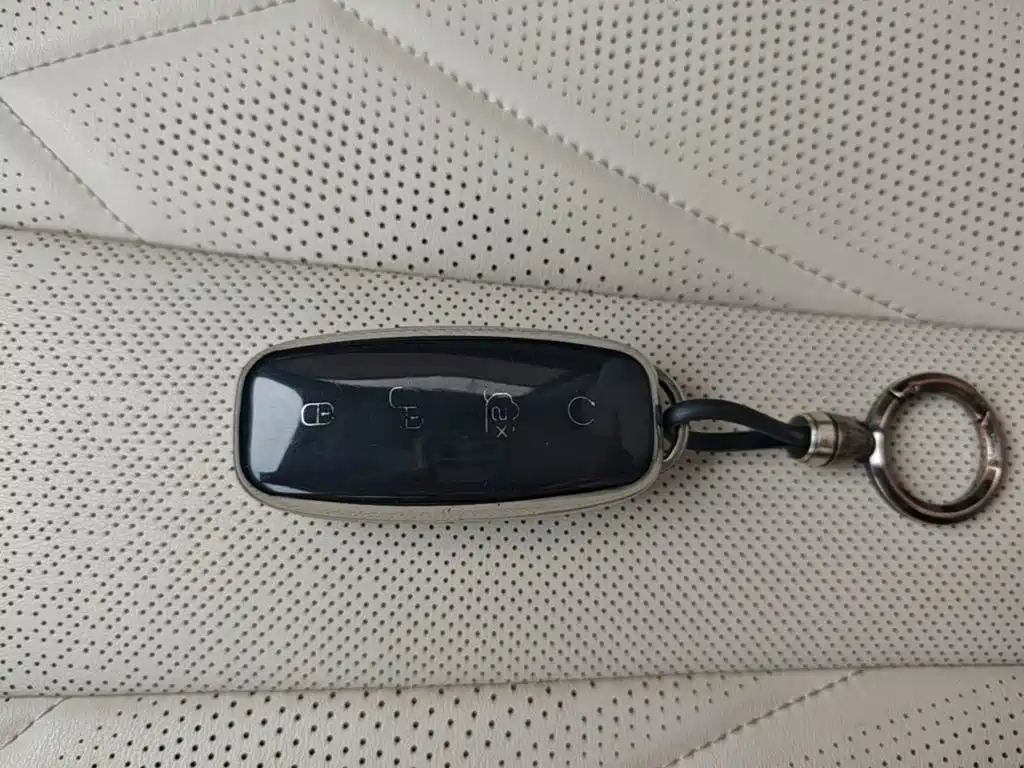 Denza Denza D9 — миниатюра 9