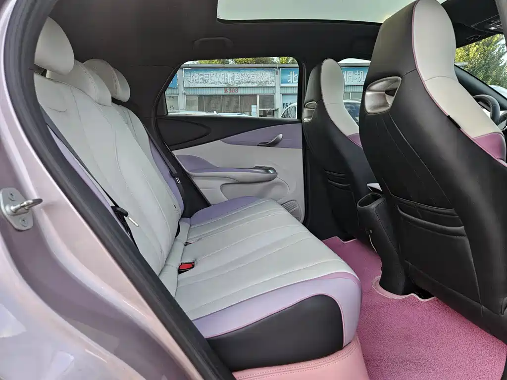 BYD Dolphin — миниатюра 11