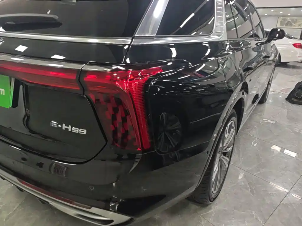 Hongqi Hongqi E-HS9 — миниатюра 8