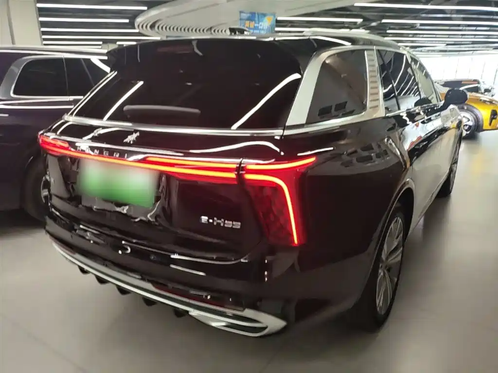 Hongqi E-HS9 2022 690km мест