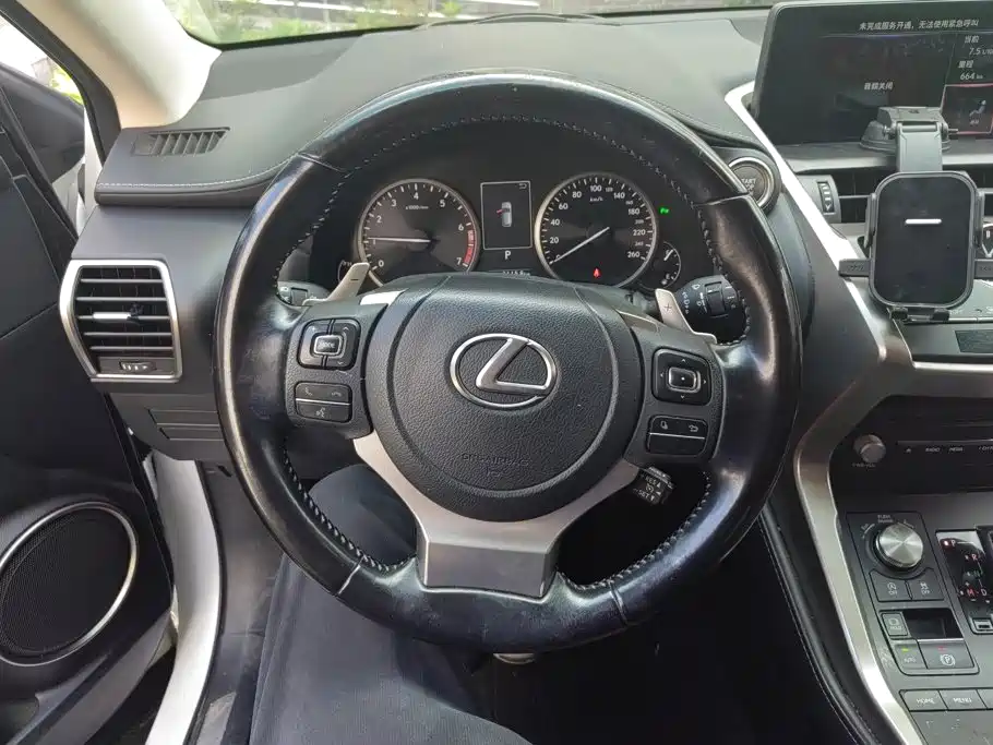 Lexus NX — миниатюра 15