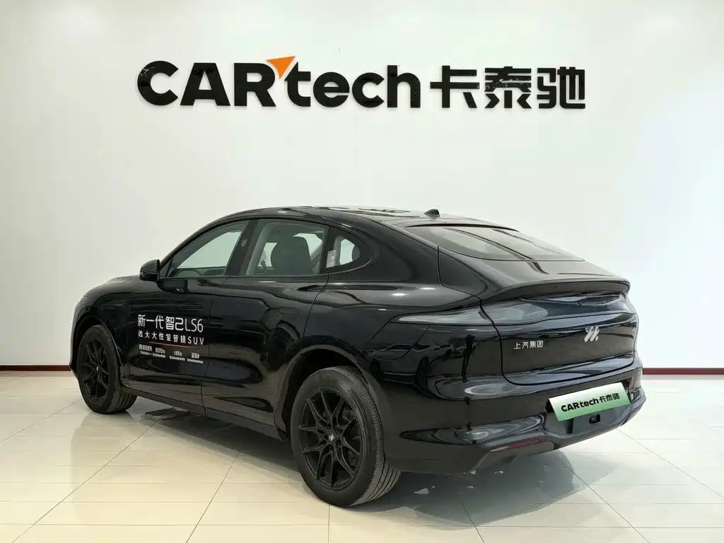 IM IM LS6 — миниатюра 2