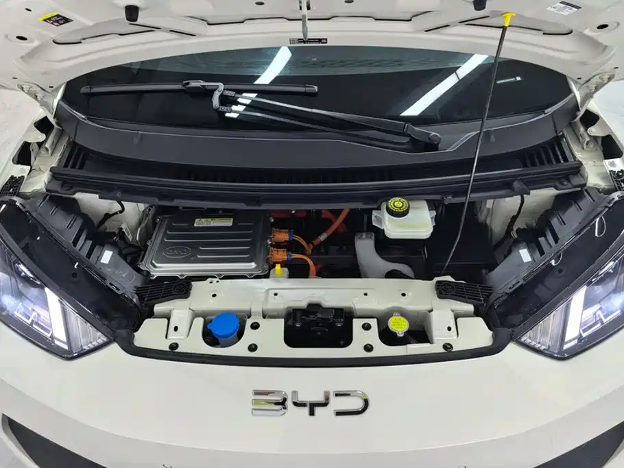 BYD Seagull 2025 Smart Drive 305km Freedom