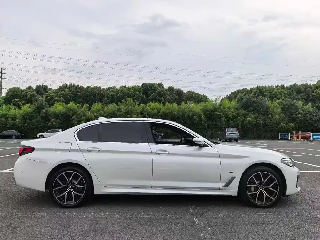 BMW 5 Series 5 2022 530Li Premium M Sport