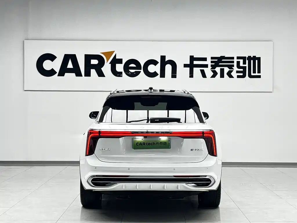 Hongqi E-HS9 2022 690km мест