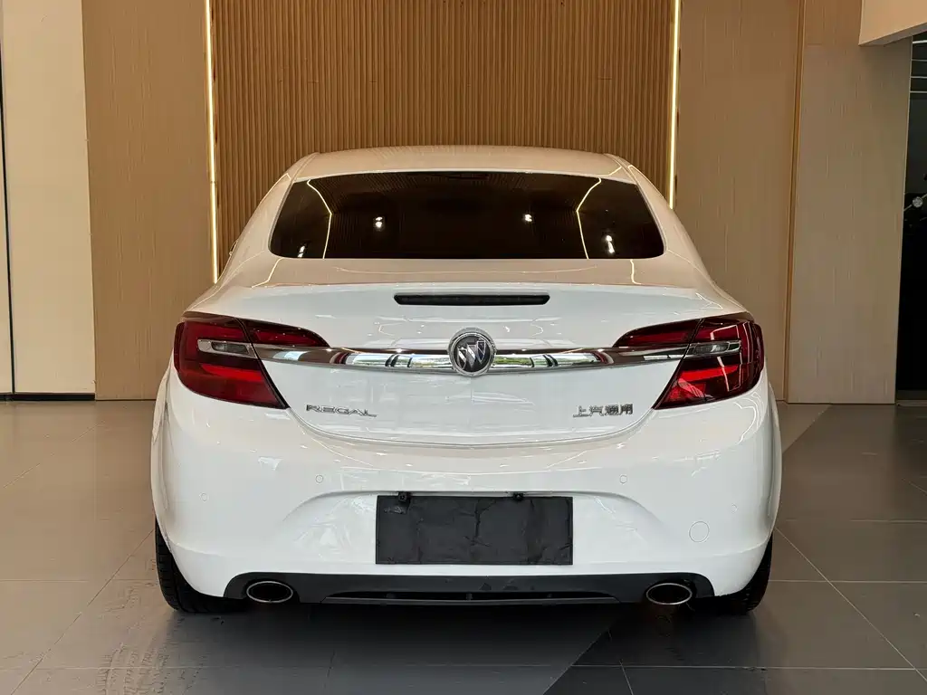 Buick Regal — миниатюра 17