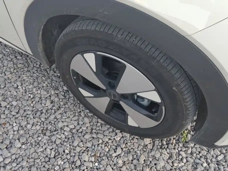 BYD Dolphin — миниатюра 6