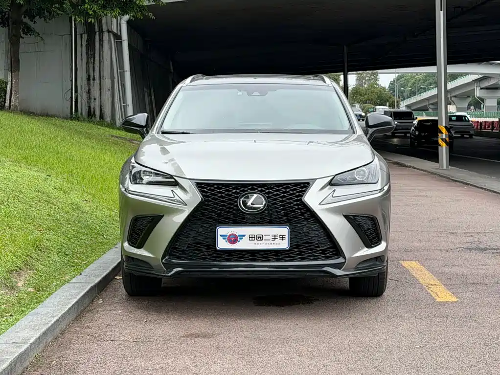 Lexus NX — миниатюра 2