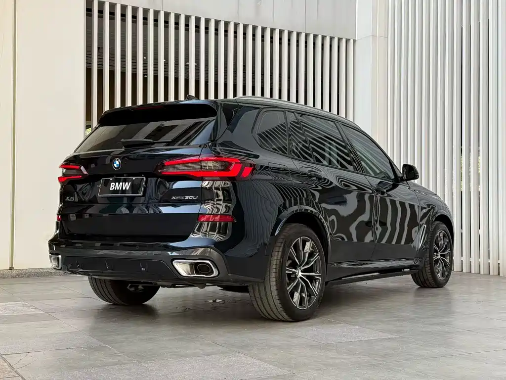 BMW X5 — миниатюра 9