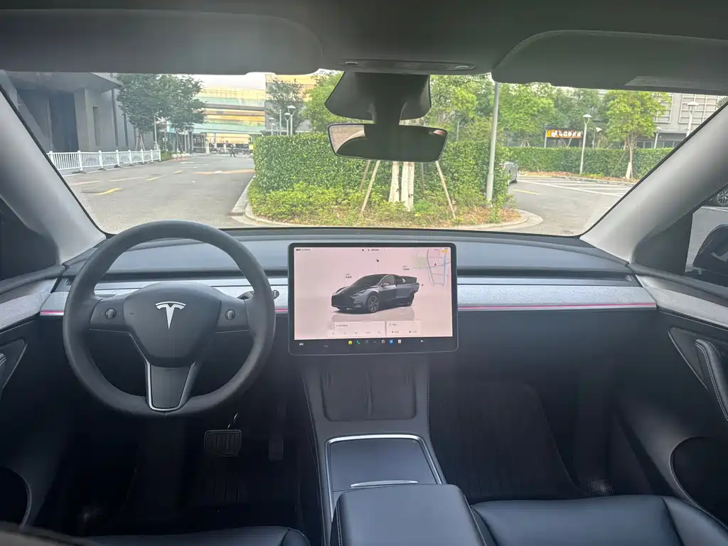 Tesla Model Y — миниатюра 5