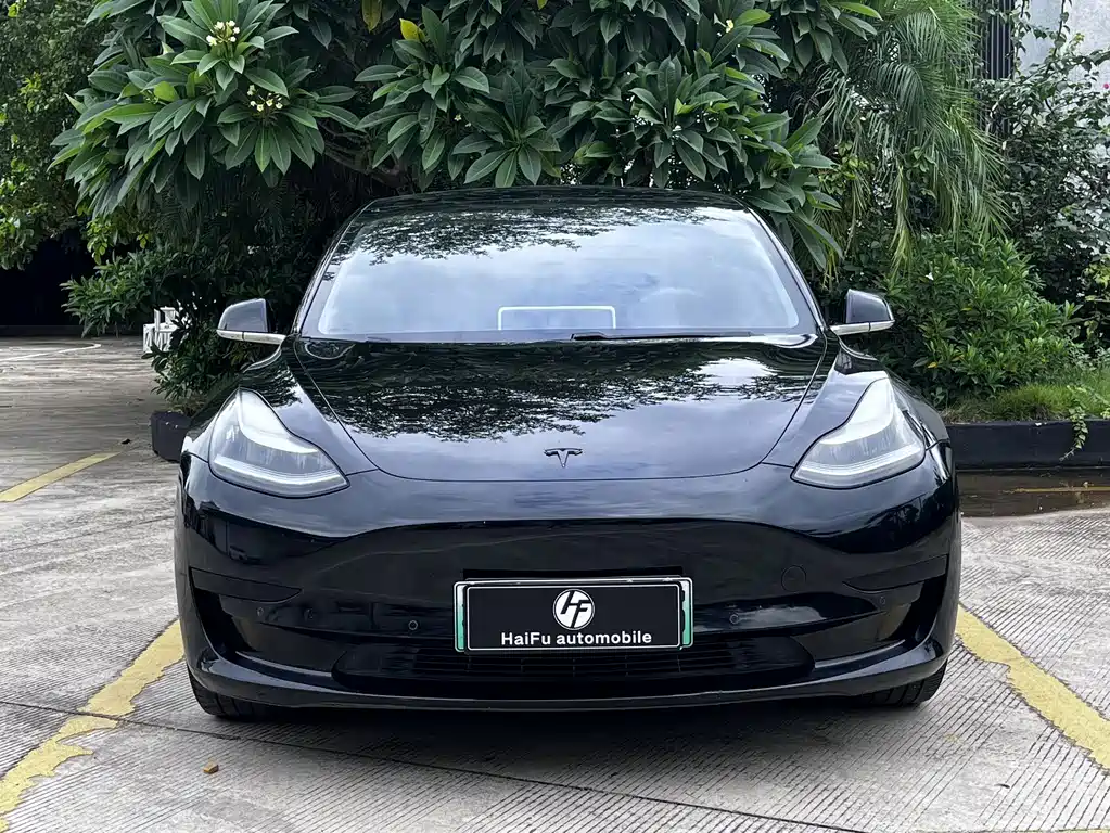 Tesla Model 3 — миниатюра 3