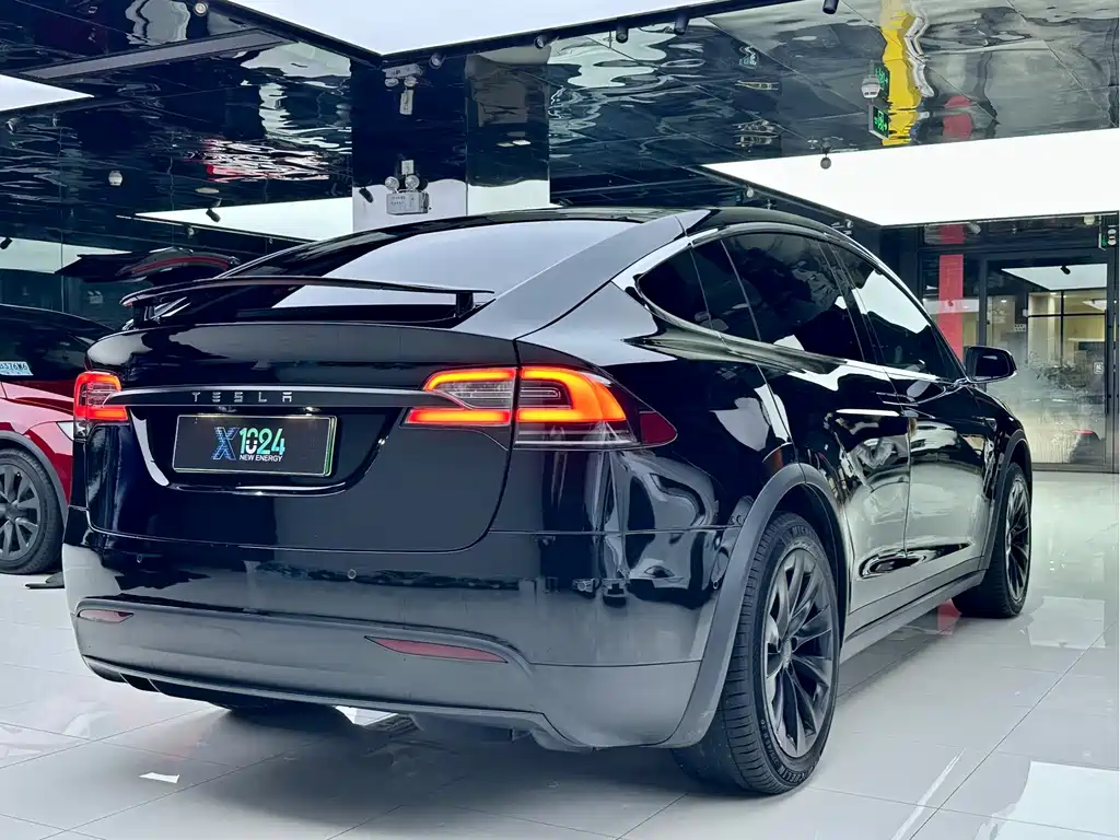 Tesla Model X — миниатюра 4