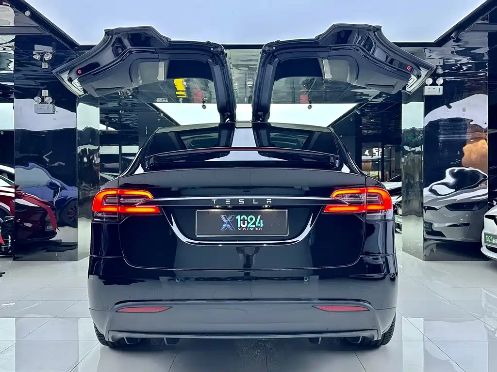 Tesla Model X — миниатюра 6