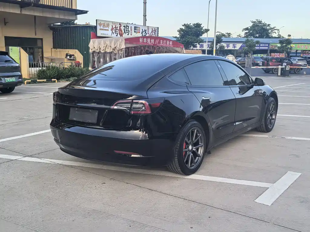 Tesla Model 3 — миниатюра 6