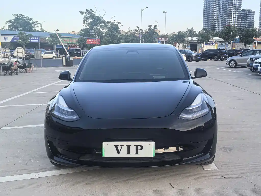 Tesla Model 3 — миниатюра 2