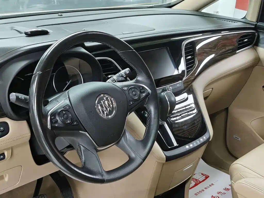 Buick GL8 — миниатюра 11