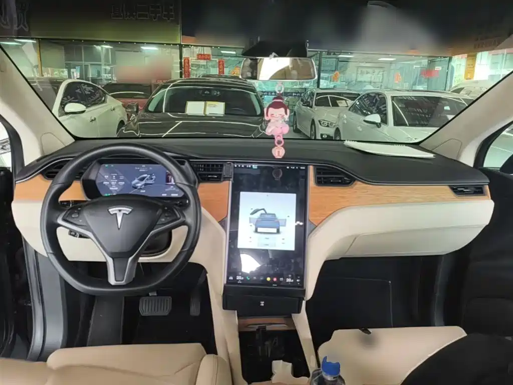 Tesla Model X 2017 Model X 100D