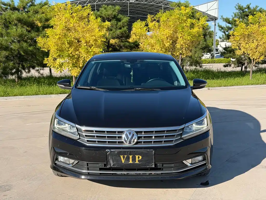Volkswagen Passat — миниатюра 2