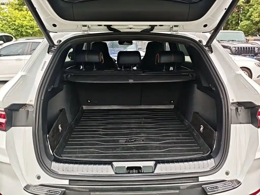 BYD PLUS New Energy — миниатюра 19