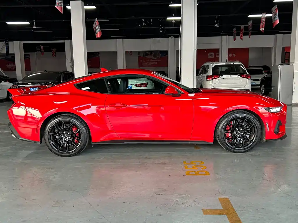 Ford Mustang — миниатюра 17