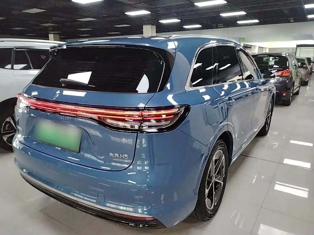 Shangjie Shangjie H5 — миниатюра 7
