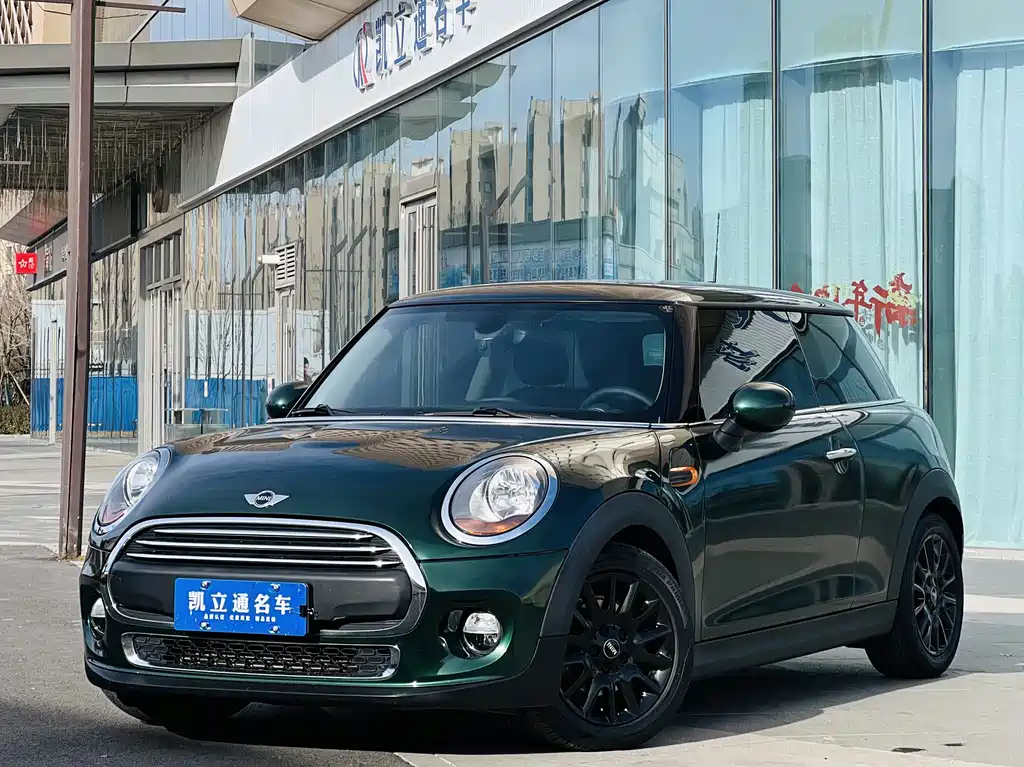 Mini Mini 2016
