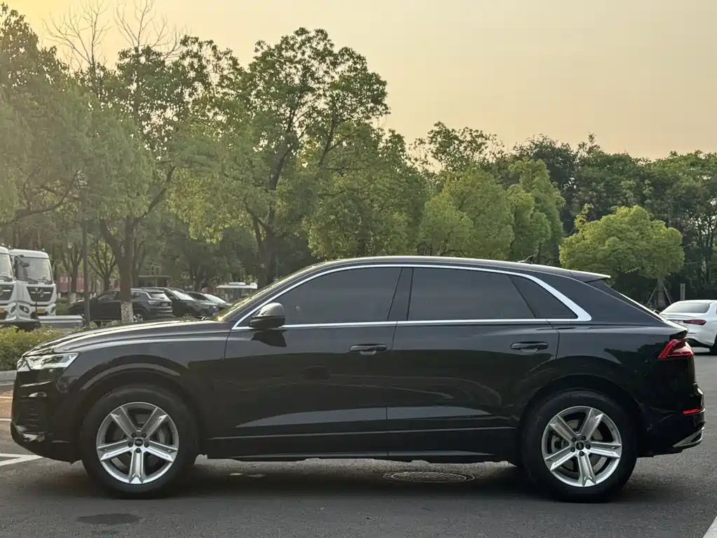 Audi Q8 2021 45 TFSI Luxury