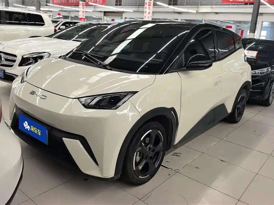 Byd Seagull 2023
