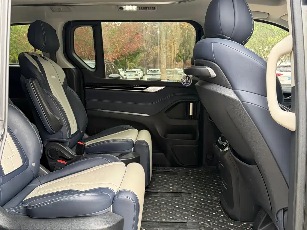 SAIC MAXUS CHASE G20