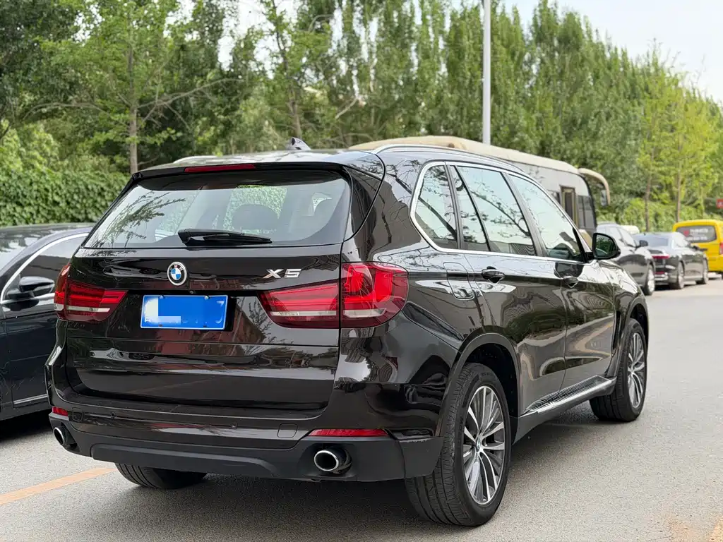 BMW X5 2014 xDrive35i Lead