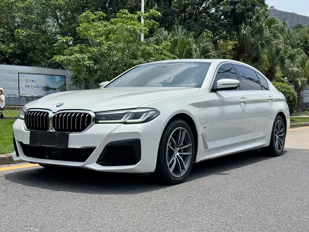 BMW 5 Series New Energy 2020