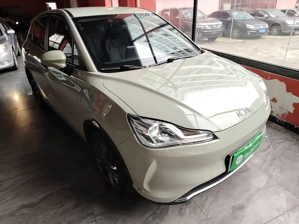 Neta Neta V — миниатюра 4