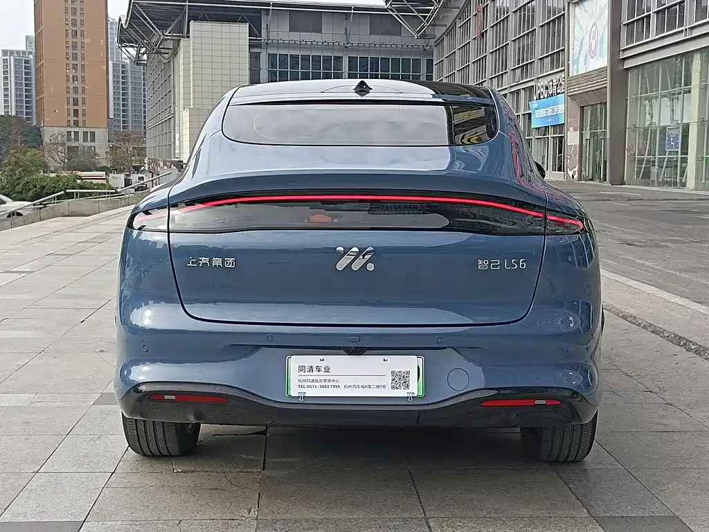 ZHIJI AUTOMOBILE ZHIJI LS6