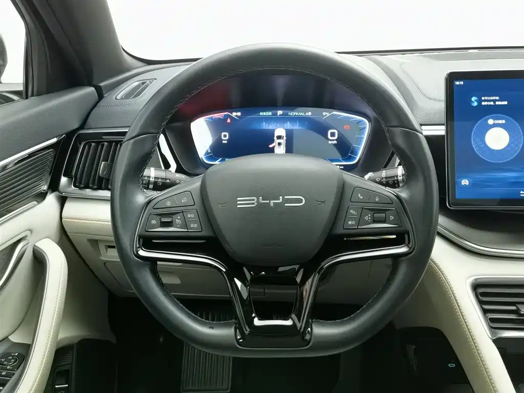 BYD SONGJIANG NEW ENERGY