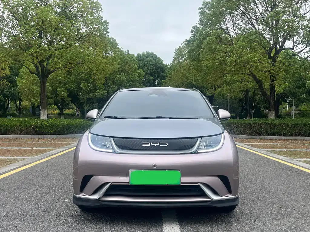 BYD Dolphin — миниатюра 2