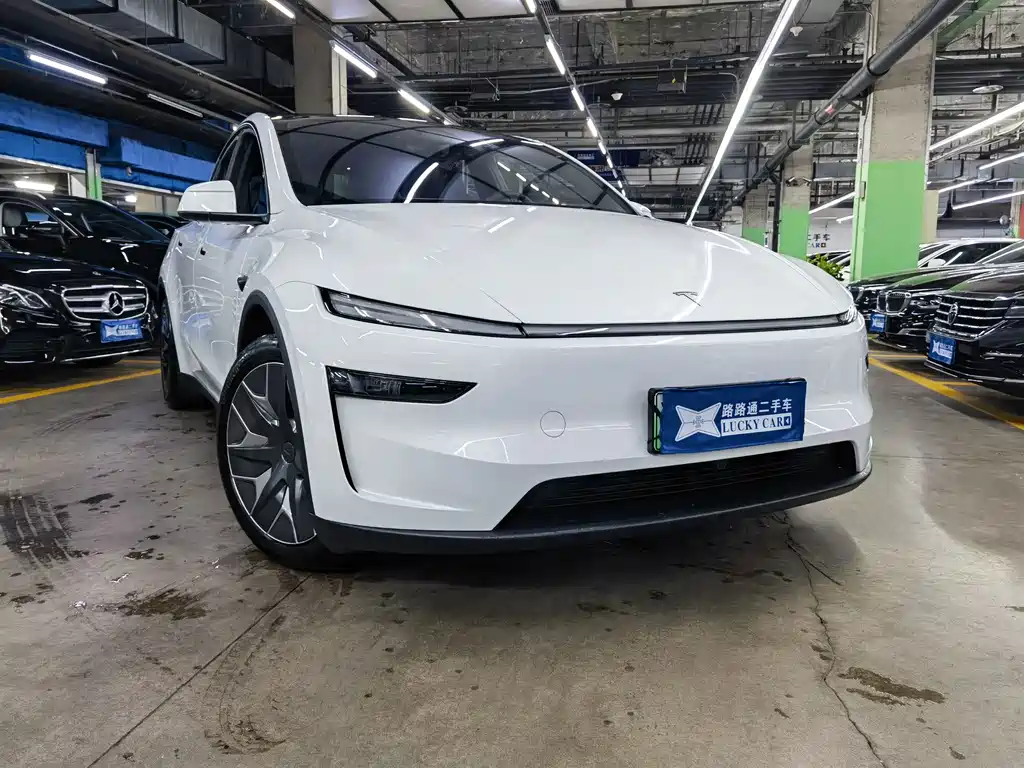Tesla Model Y L — миниатюра 3