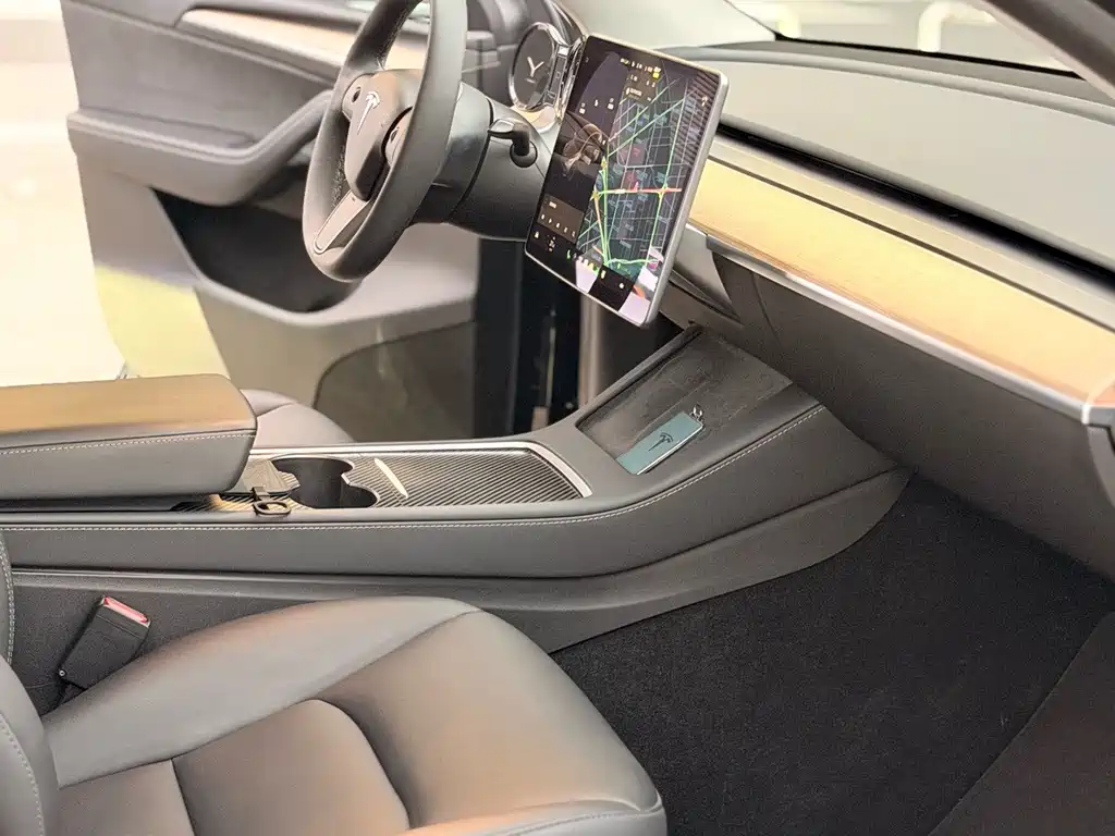Tesla Model Y — миниатюра 5