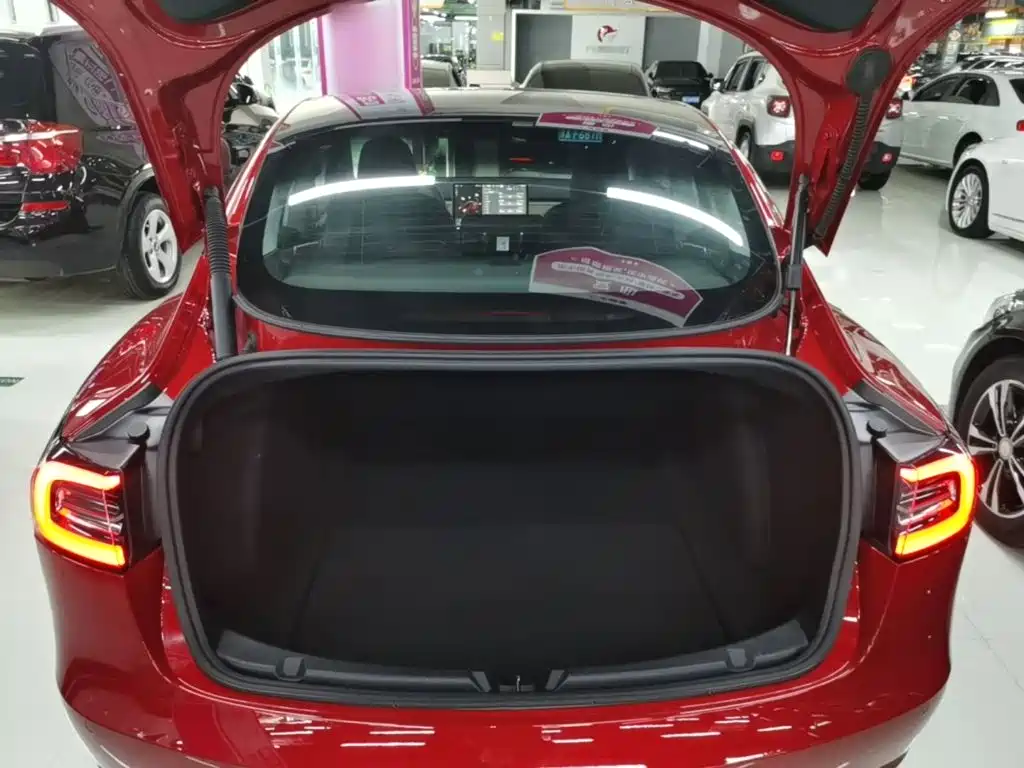 Tesla Model 3 — миниатюра 19